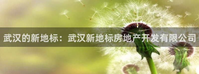 万向娱乐老板