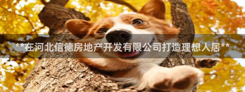 万向娱乐官网下载安卓