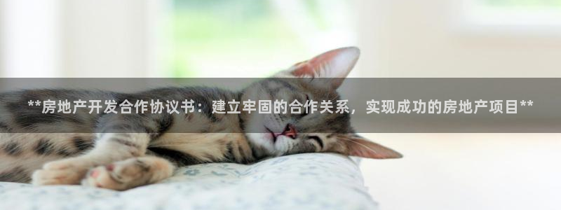 万向娱乐平台代理多少钱一个月