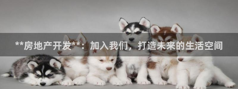 万向娱乐挂机软件