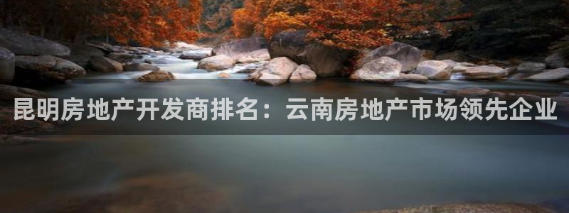 万向娱乐公司 585.34I 娱乐