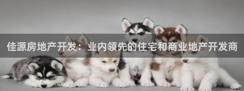 万向娱乐挂机软件