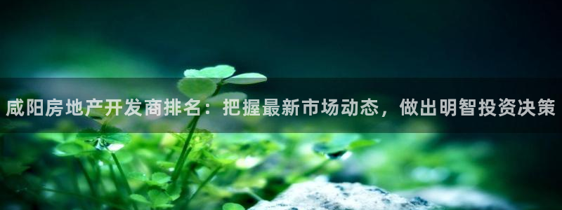万向娱乐的494o3 主管