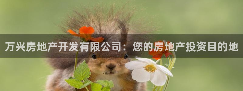 万向娱乐怎么样