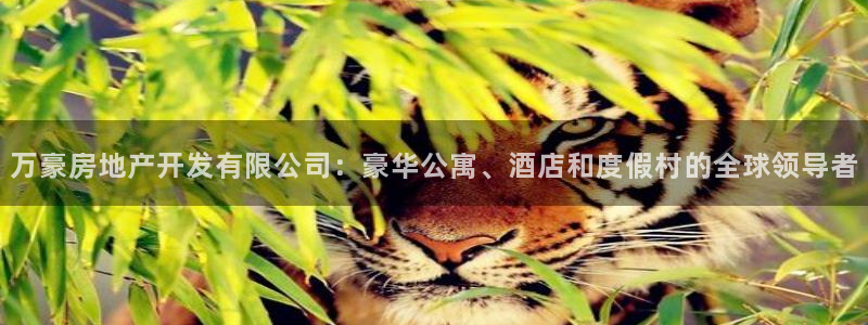万向娱乐的494o3 主管