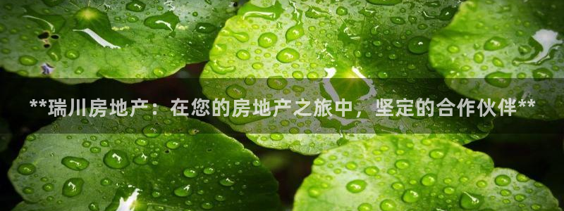 万能娱乐代理网址