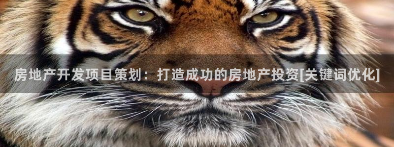 万向娱乐平台代理怎么样啊