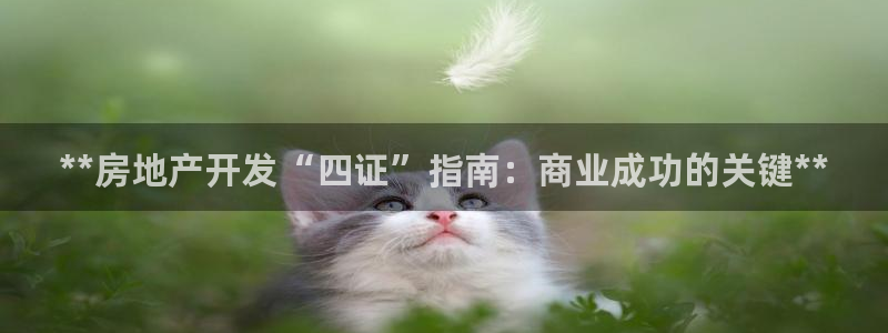 万向娱乐平台代理怎么做的