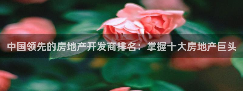万向娱乐平台代理多少钱