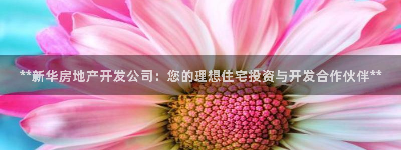 万向娱乐app下载官网