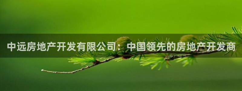 万向娱乐灯333OO