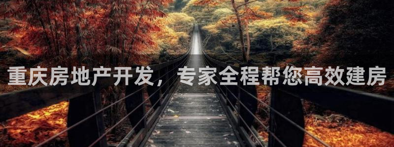 万向娱乐官网网址是多少