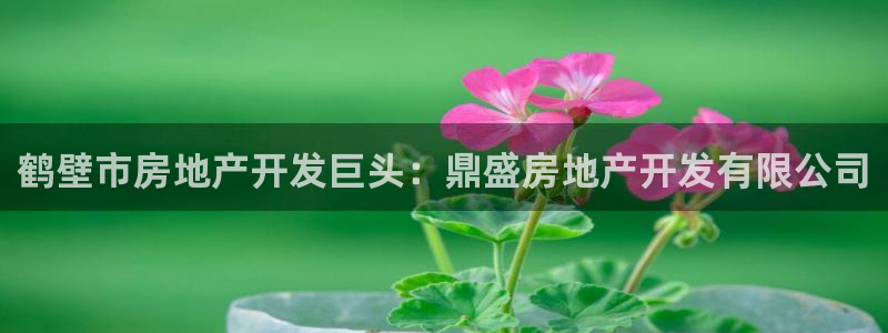 万向娱乐代理好看视频
