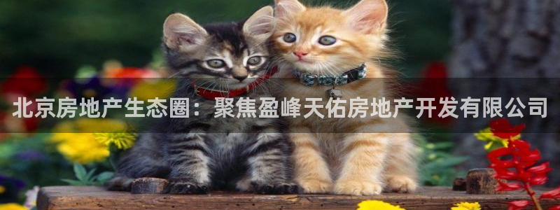 万向娱乐平台代理怎么样