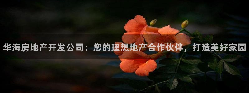 万向娱乐技术分享