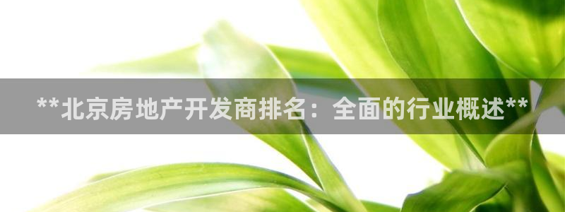 万向娱乐