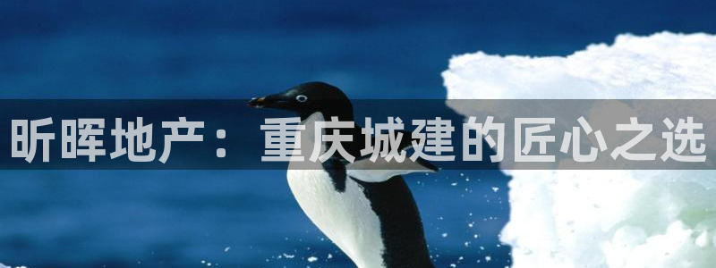 万向娱乐官网网址是什么