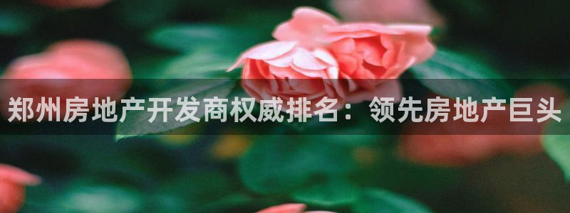 万向娱乐王者荣耀