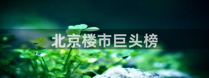 万向娱乐下载安装