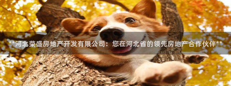 万向娱乐技术