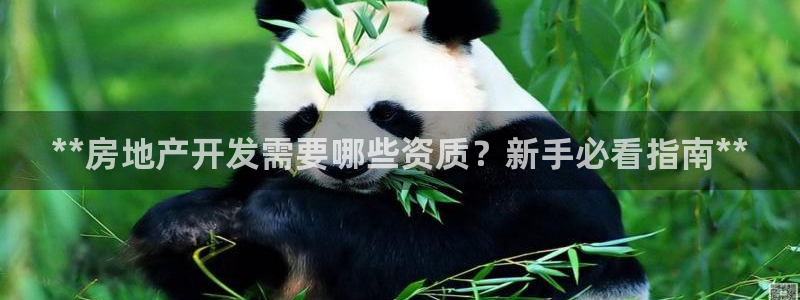 万向娱乐app下载苹果版