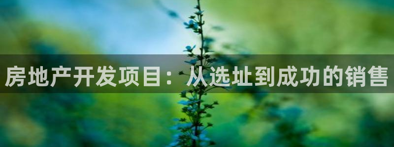 万向娱乐平台好不