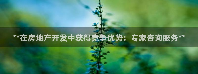 万向娱乐代理好看视频是真的吗