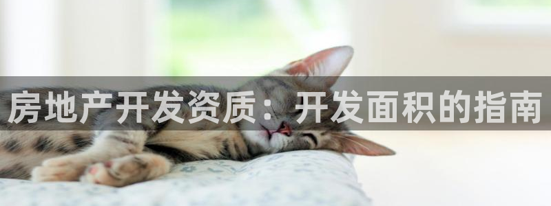 万向娱乐老板