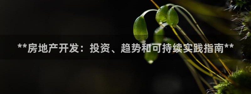 万向娱乐的联系方式有哪些