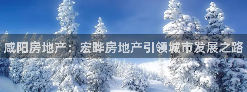 万向娱乐官网网址是什么