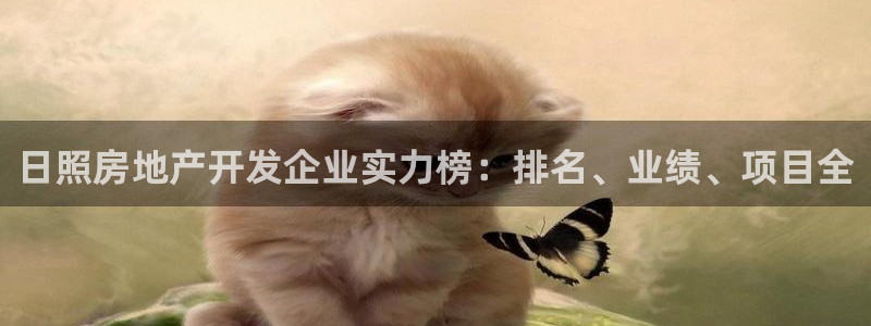 万向娱乐平台代理多少钱一个