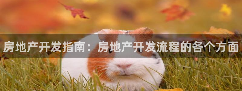 万向娱乐官网网址