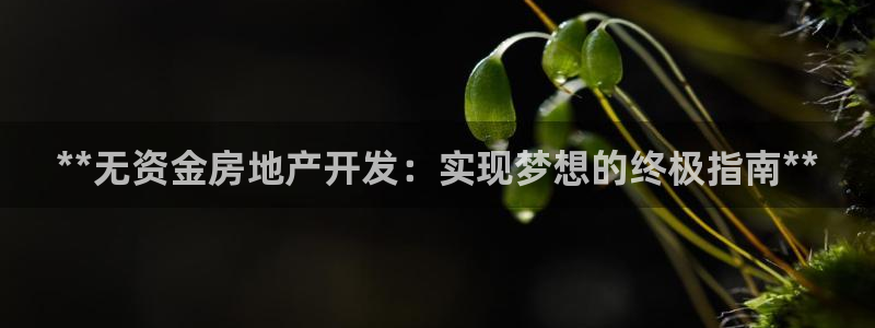 万向娱乐下载安装