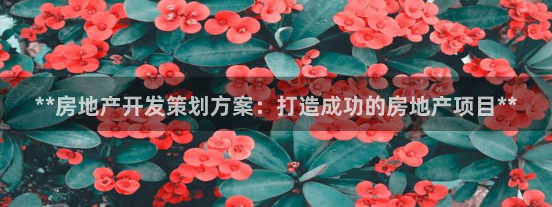 万向娱乐技术