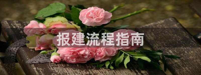 万向娱乐灯333OO