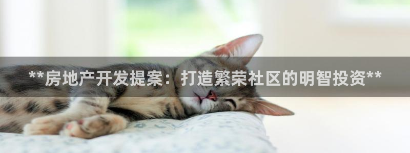 万向娱乐平台代理怎么样啊