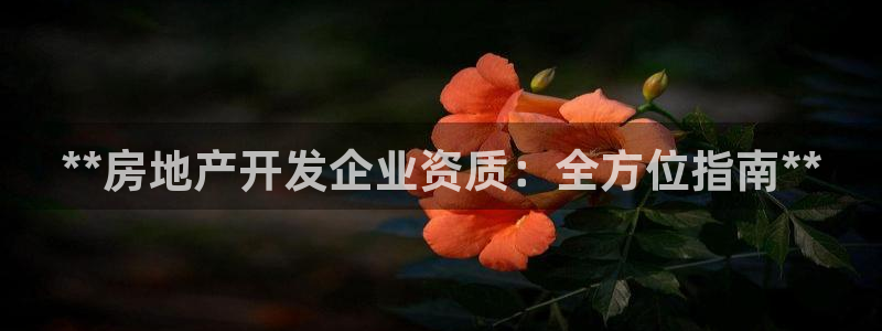 万向娱乐平台提现多久到账