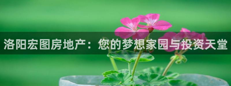 万向娱乐平台代理多少钱一个月