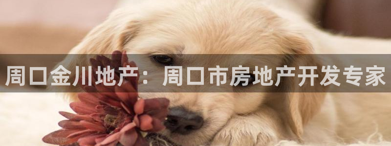 万向娱乐的联系方式