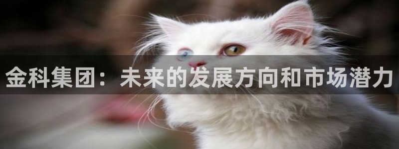 万向娱乐公司官网首页
