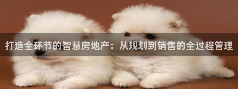 万向娱乐平台注册条件