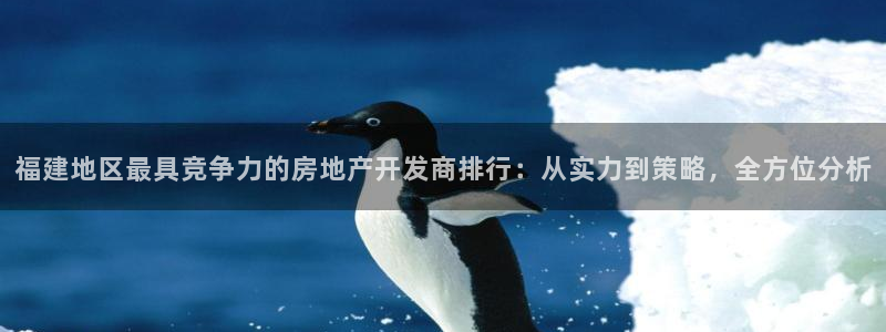 万向娱乐网址是什么
