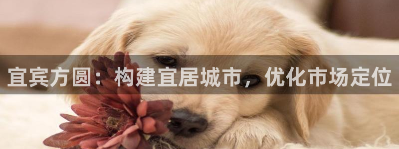 万向娱乐老板