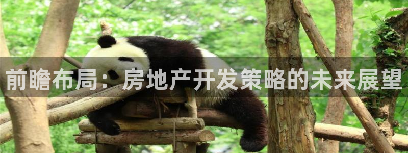 万向娱乐技术分享