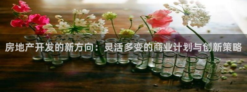 万向娱乐平台代理