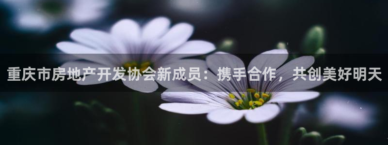 万向娱乐平台代理怎么样可靠吗