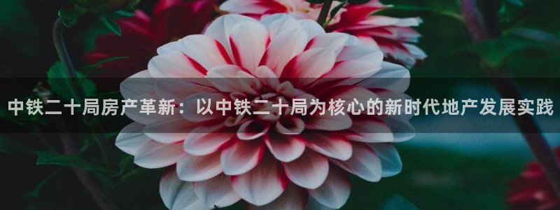 万向娱乐官网下载