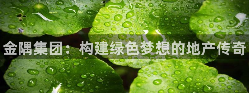 万象国际娱乐网址