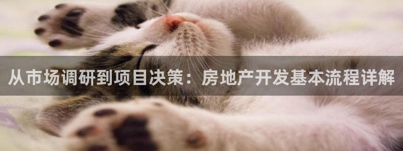 万向娱乐官网下载安装最新版
