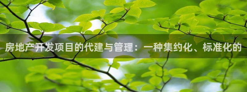 万向娱乐平台代理多少钱一个月
